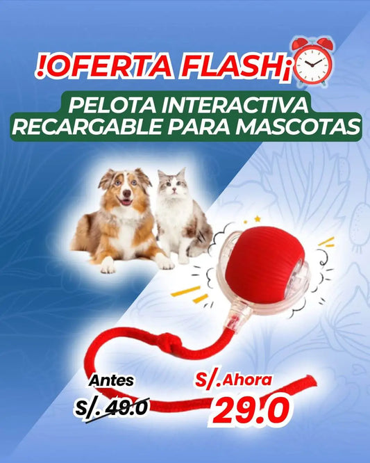Pelota interactiva para mascotas